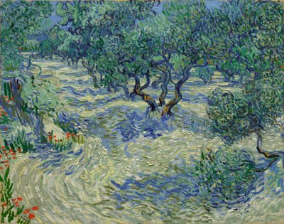 Olivenhain von Vincent van Gogh